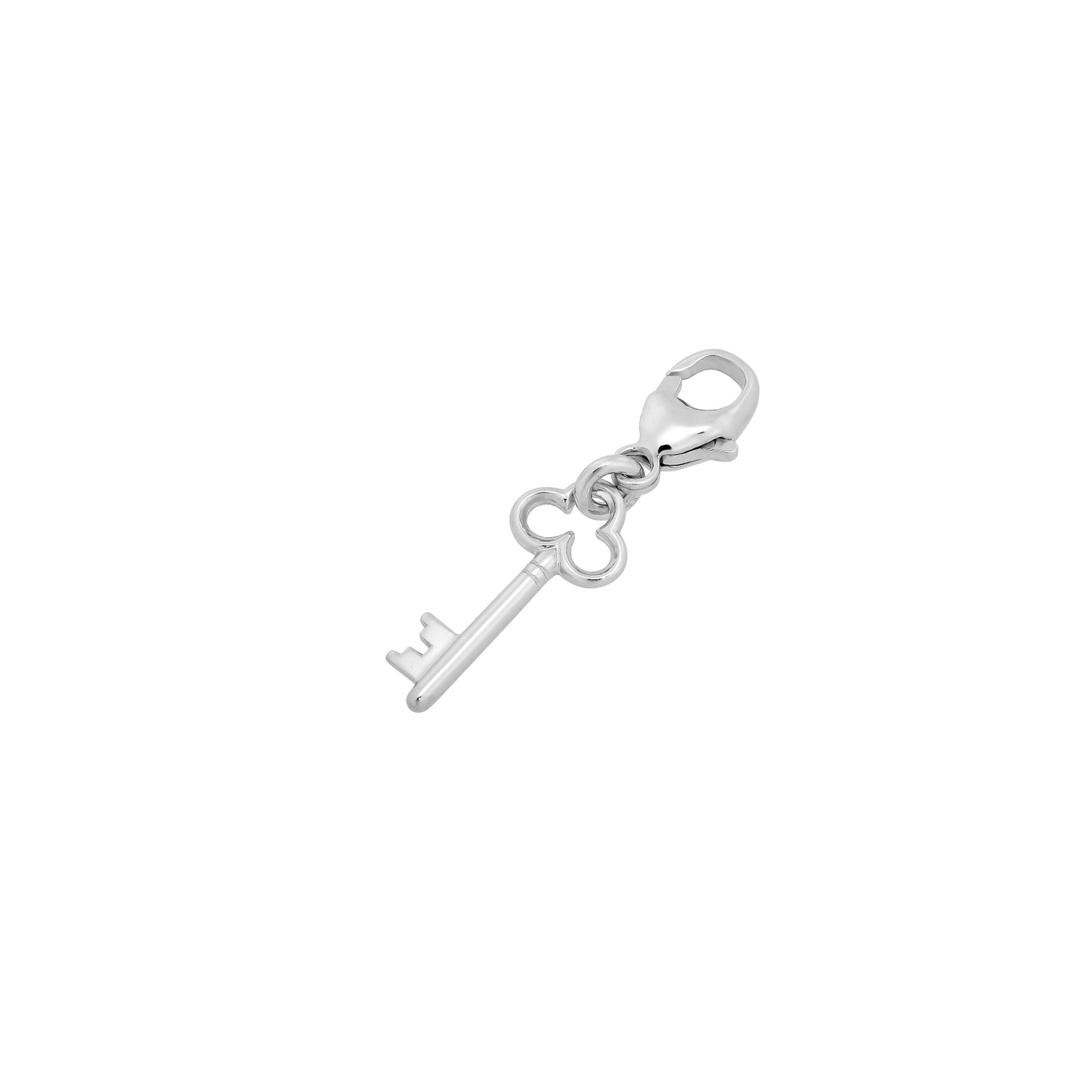 Anhänger mit Karabiner Schlüssel