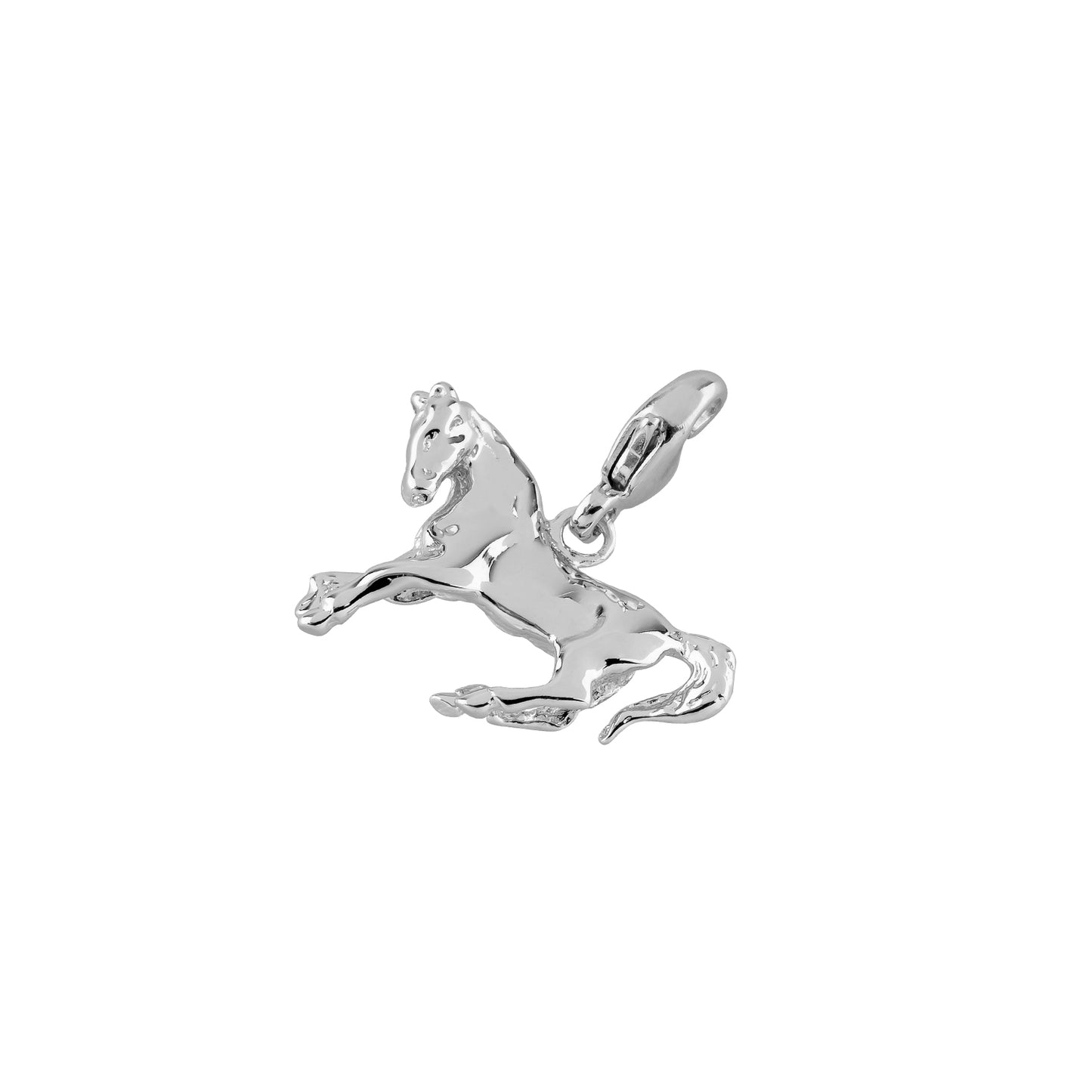 Anhänger mit Karabiner Tier
